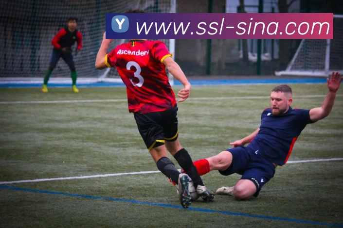 多媒体互动体验